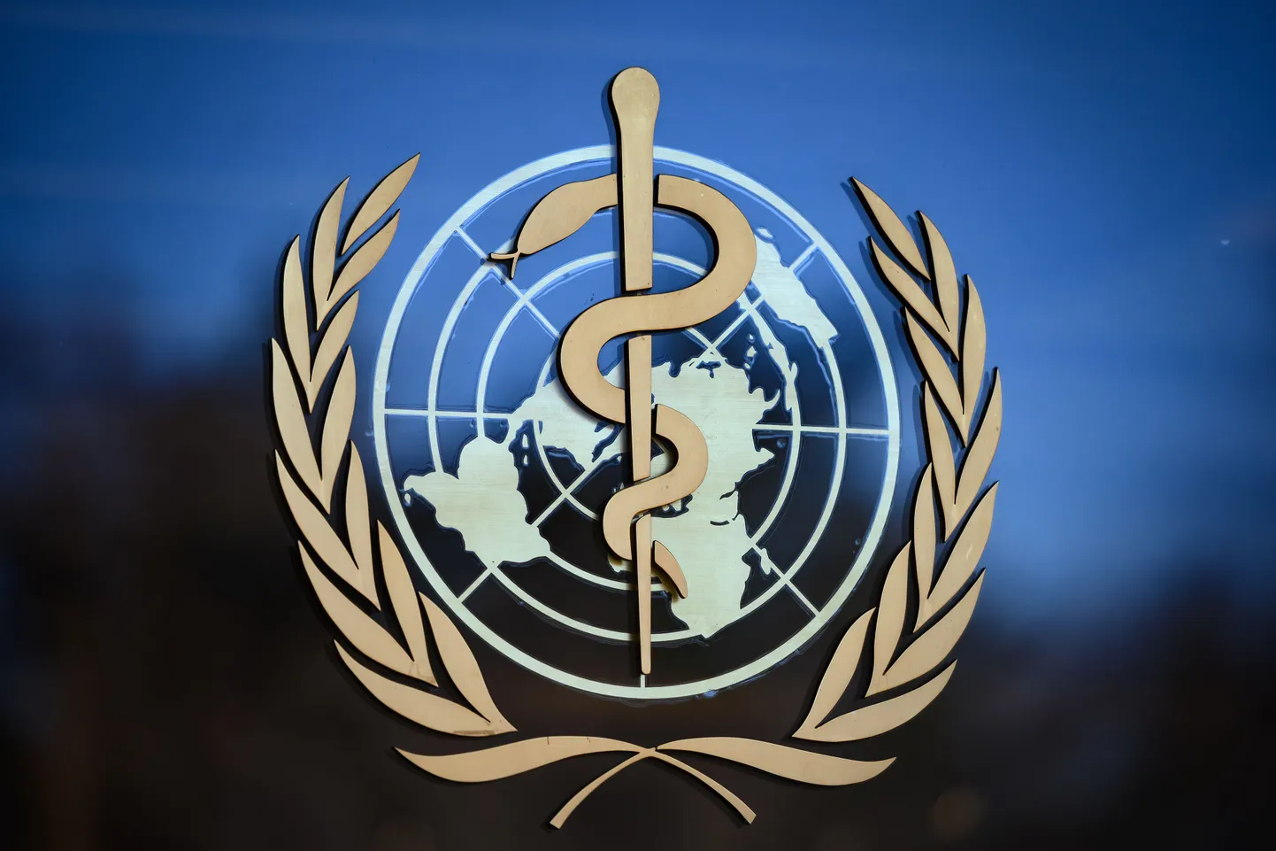 Pasaules Veselības organizācija (PVO) logo