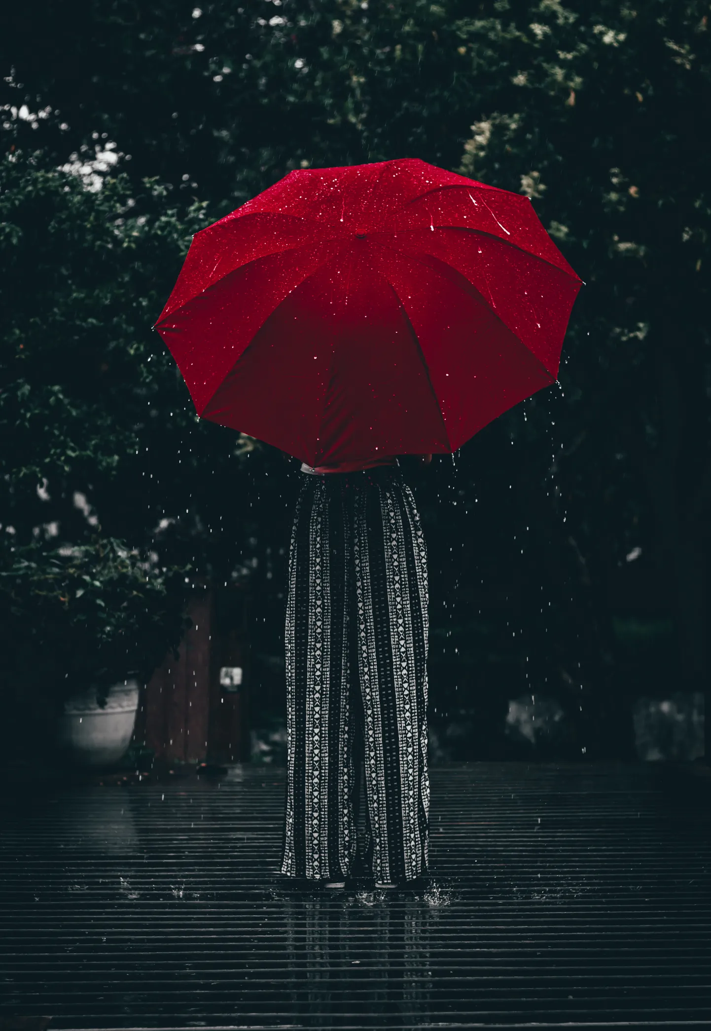 Фото статьи