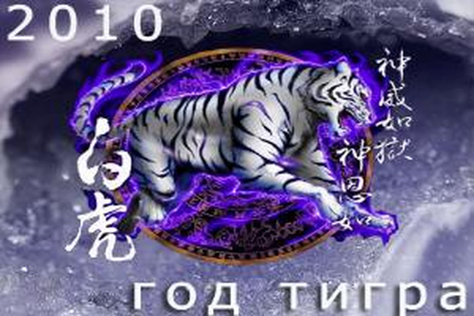 Рожденные в год тигра в 2024. Год тигра 2010. Тигр год. 2010 Год металлического тигра. Год тигра 2034.