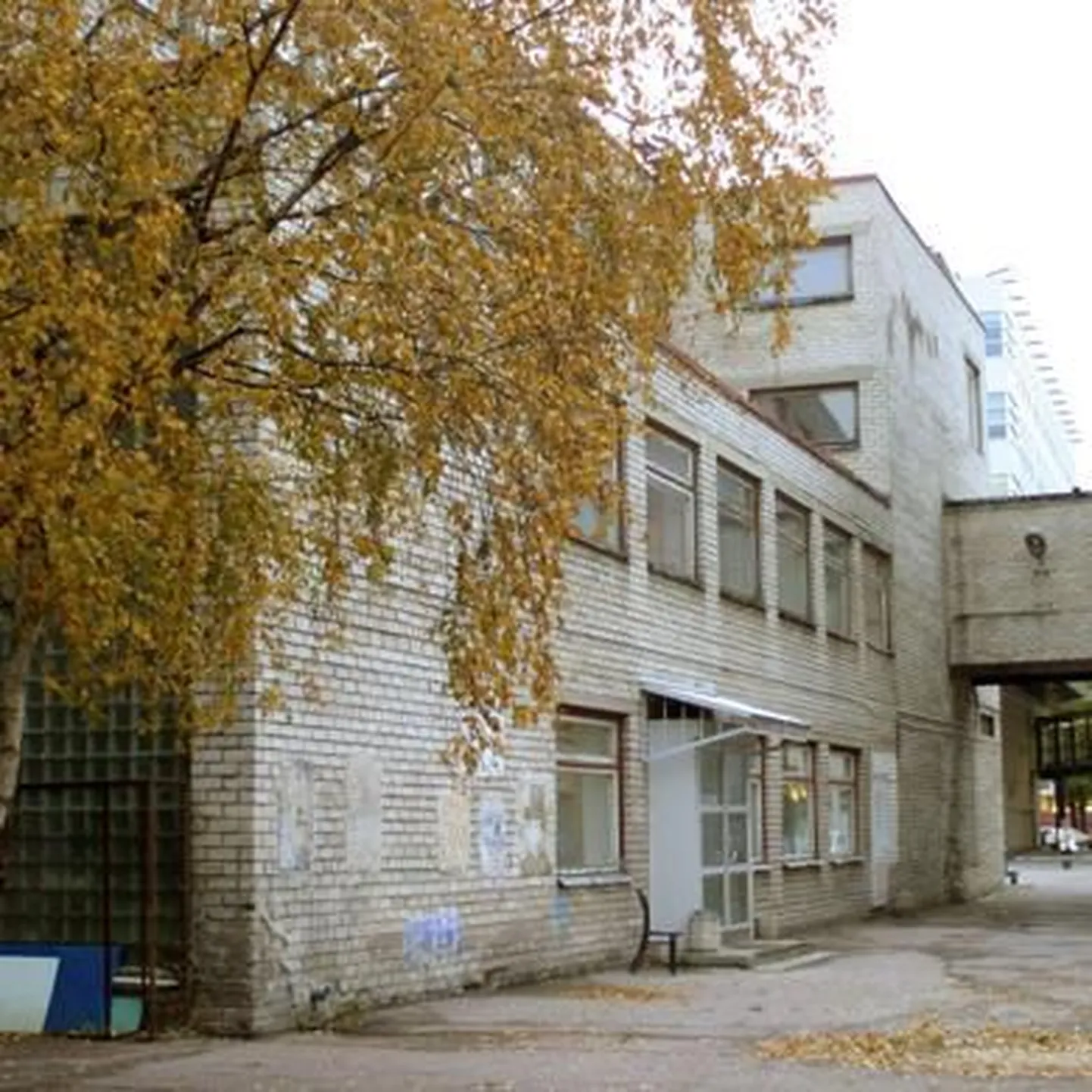 TLÜ teater "Stella"