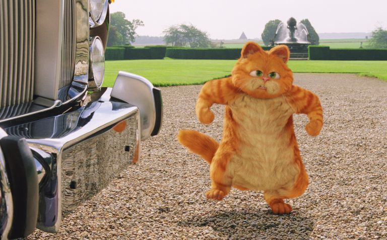 Garfield filmis ««Garfield: A Tail of Two Kitties»»
