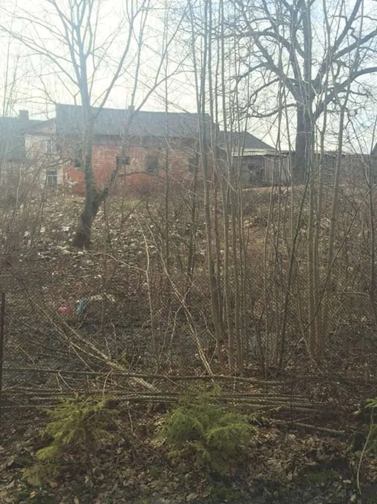 Raksta foto