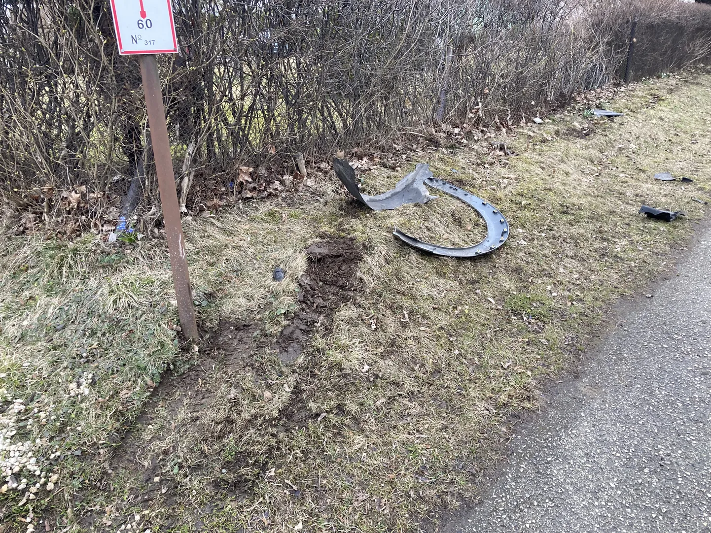 Auto kaldus teelt välja ja sõitis aeda.