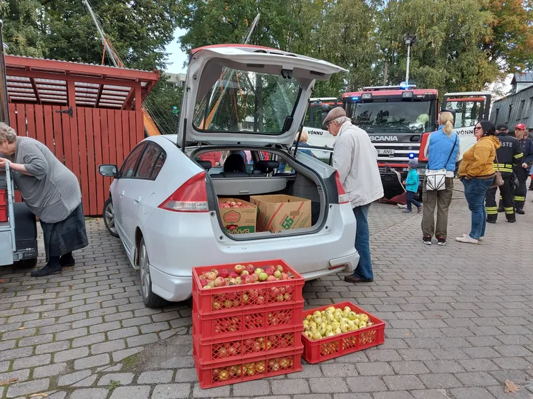 Õunad elevantidele.