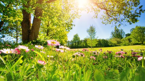 Svētdiena būs silta un saulaina