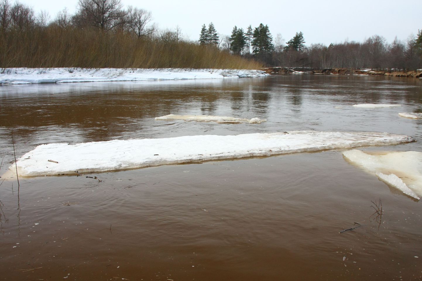 Koiva jõel on jää juba läinud.