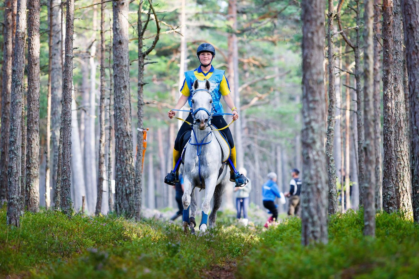 Maria Hagman-Eriksson Rootsist hobusel MZ Maymoon.