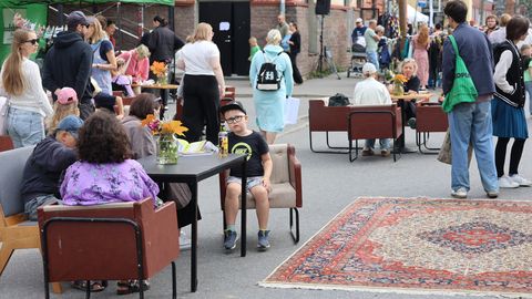 GALERII ⟩ Müürililletäika säras nagu lillepõld