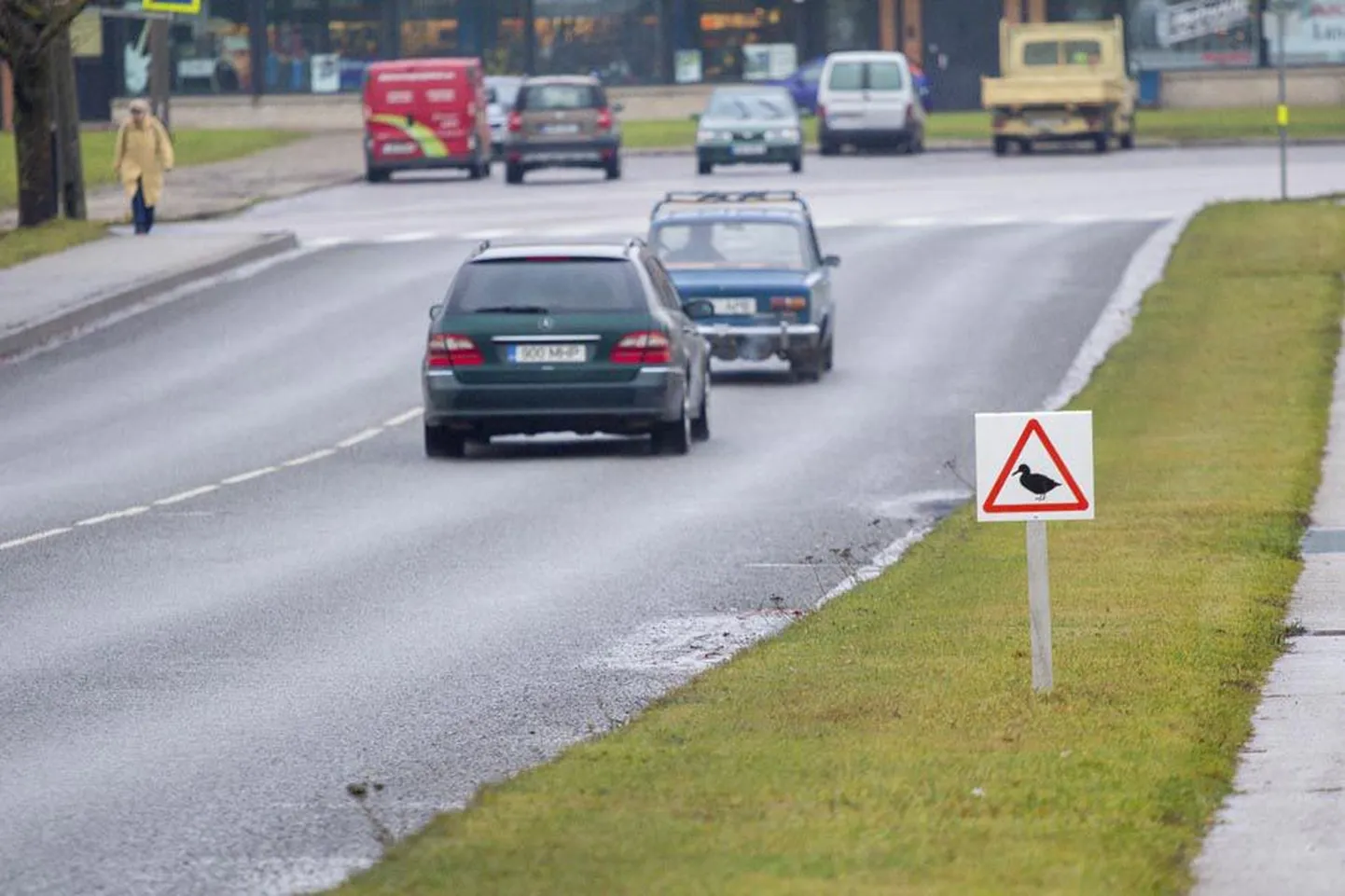 Selliste hoiatusmärkide juures tuleb autol hoog maha võtta ja hoolega jälgida, et teeservast mõni part teele ei paterdaks.
