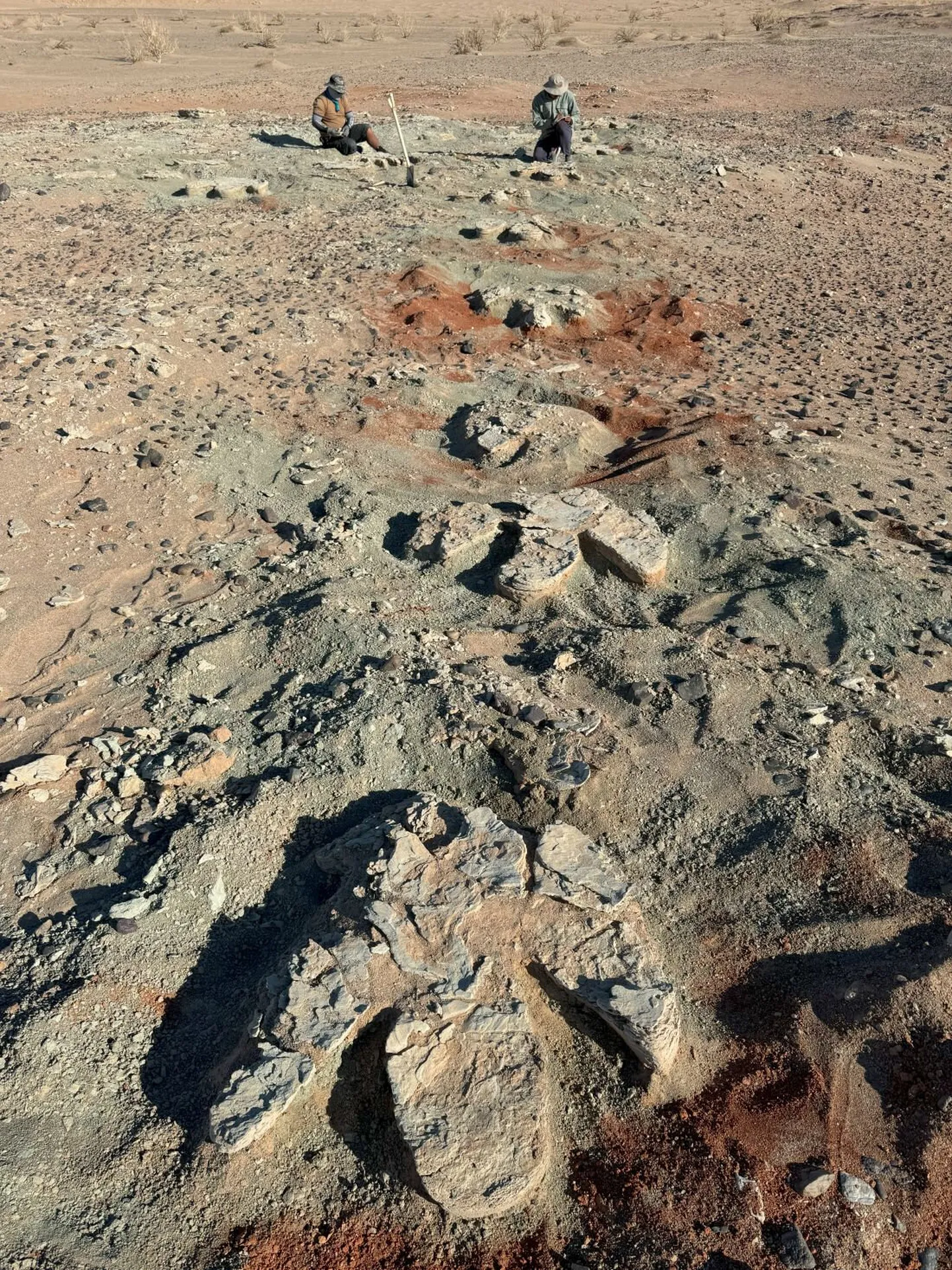 Okayama ülikooli ja Mongoolia teaduste akadeemia paleontoloogia instituudi ühise ekspeditsioonirühma tehtud foto välitöödel.