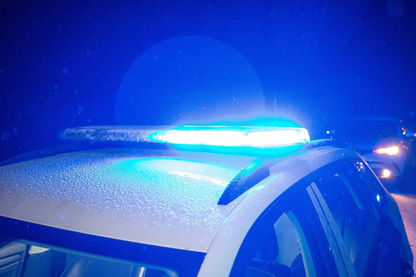 Kadunud Rainer ilmus koju ja temaga on kõik korras.