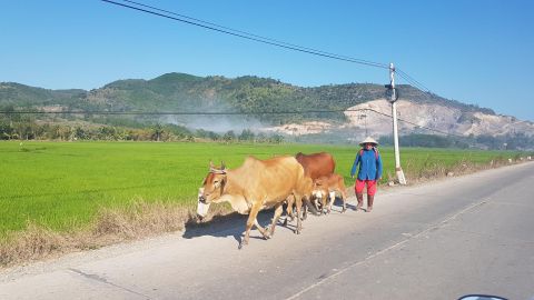 Turistide kadudes asendus borš Vietnamis jälle pho’ga