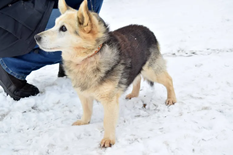 VÄIKE MUKI