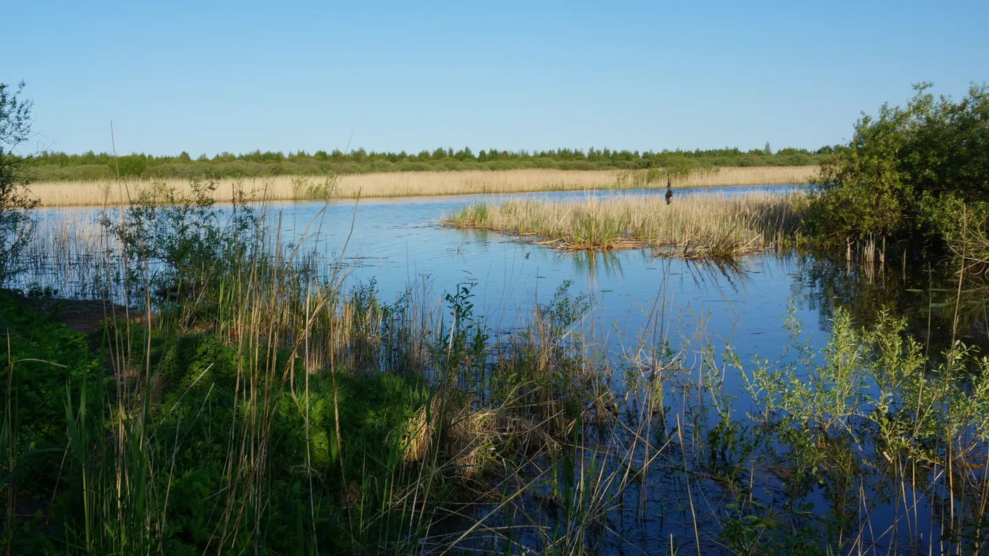 Võhandu jõgi