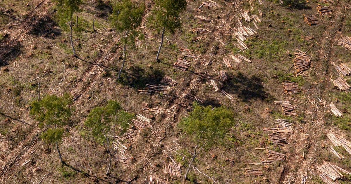 raielubade keelamise kaebused ei tohi olla liiga üldised raielubade keelamise kaebused ei tohi olla liiga üldised