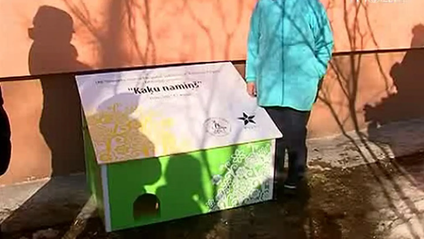 Raksta foto