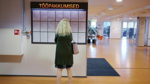Suur osa Järvamaa töötutest on suveks saanud tööle