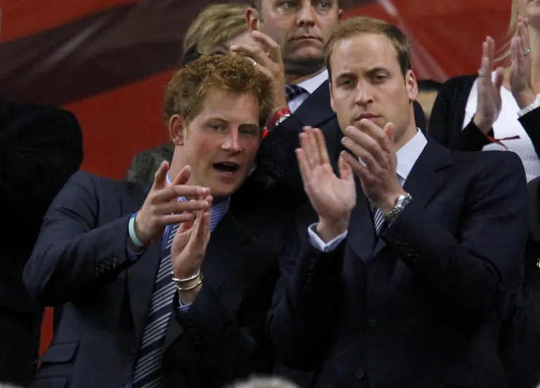 Prints Harry ja ta vanem vend, prints William