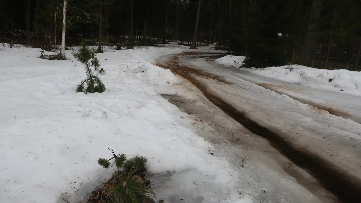 Soojakraadid ja vihm on silmnähtavalt vähendanud lumekihi paksust.