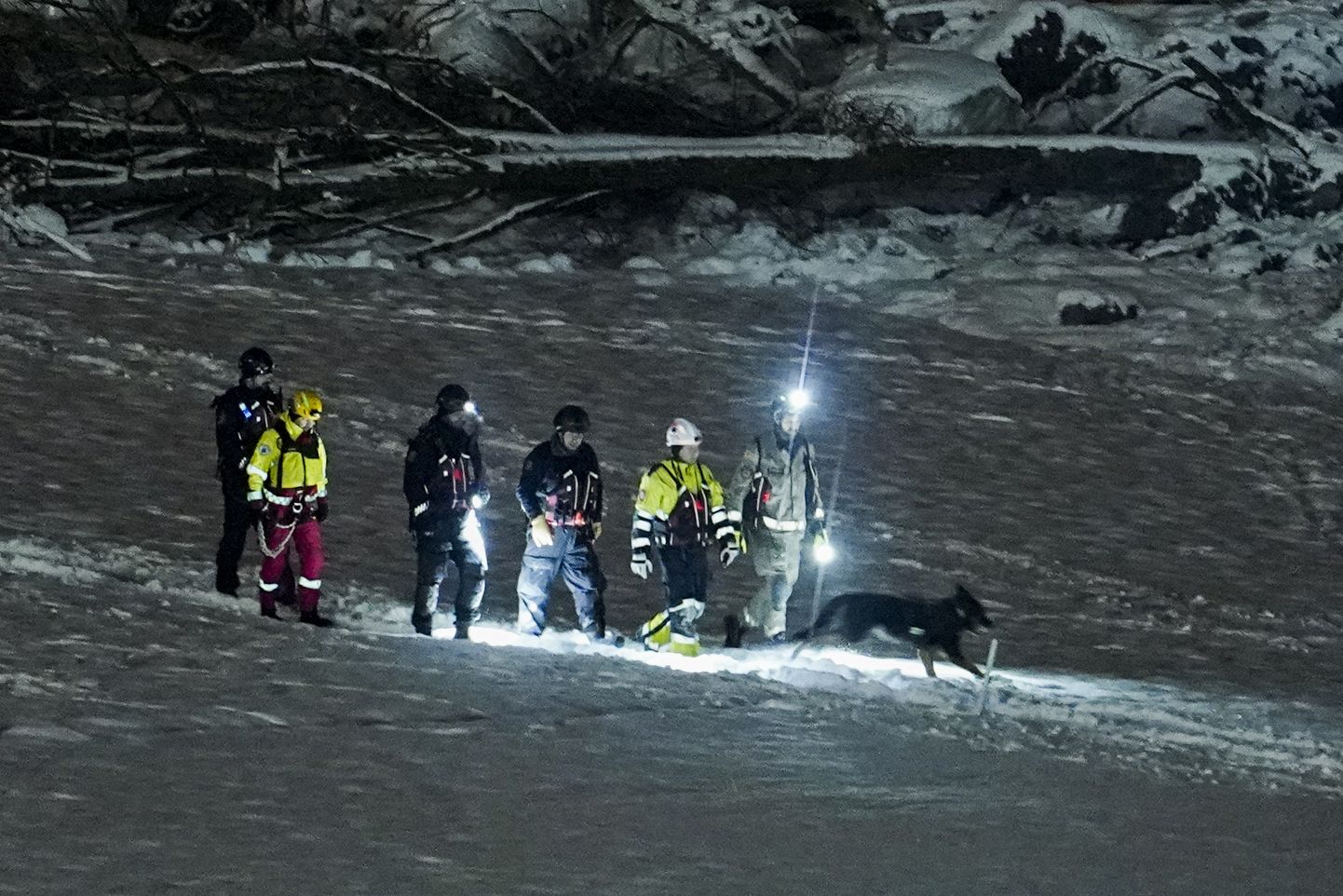 Päästjad koos lõhnakoeraga Norra Aski maalihkealal, kus on seni kolm inimest kadunud