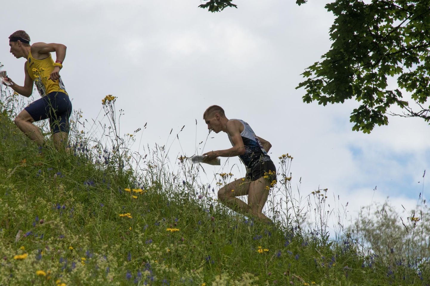 Viljandimaa juunikuine orienteerumispäevak viib osalejad Viljandi lossimägedesse. Foto on tehtud 2017. aastal seal peetud maailmameistrivõistluste sprindi teatevõistluselt.