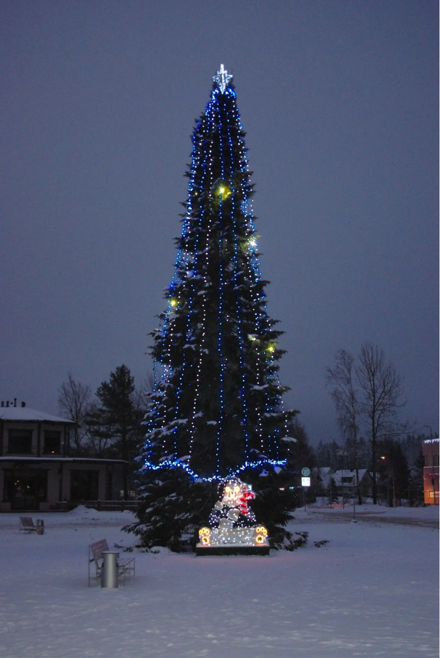 Otepää jõulukuusk nägi 2010. aastal välja selline.