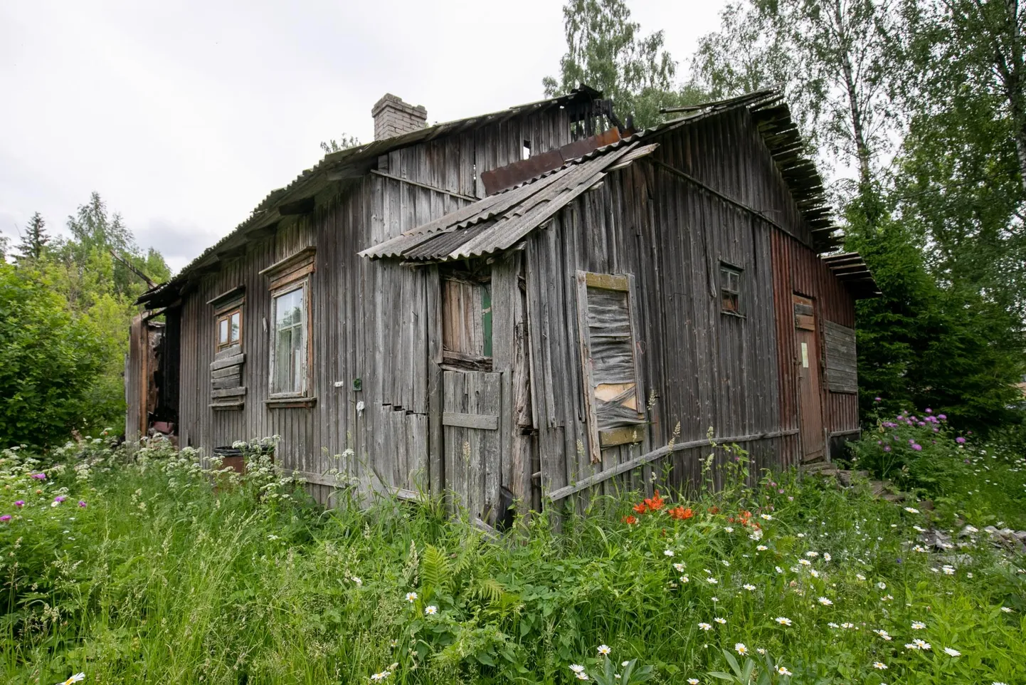 Pilt on illustreeriv. "Ostes oli maja ilus. Puhas ja vaibad maas. Ma ei saanud arugi, et tegelikult meenutab see veidi kaardimaja," kirjutab Kersti Peterson oma loos.
