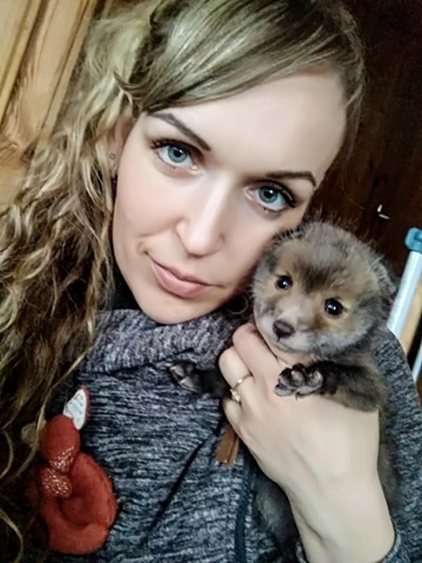 Virge Võsujalg näeb tibatillukese rebasepoja toitmise ja tema eest hoolitsemisega palju vaeva.
