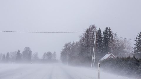 Самые сложные дорожные условия в Северной Эстонии