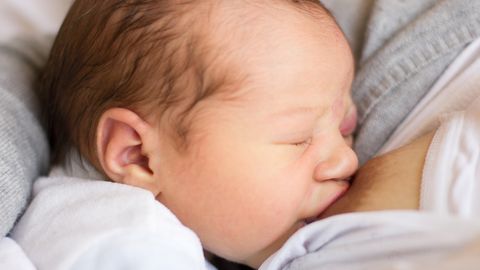 newborn baby girl newborn baby girl