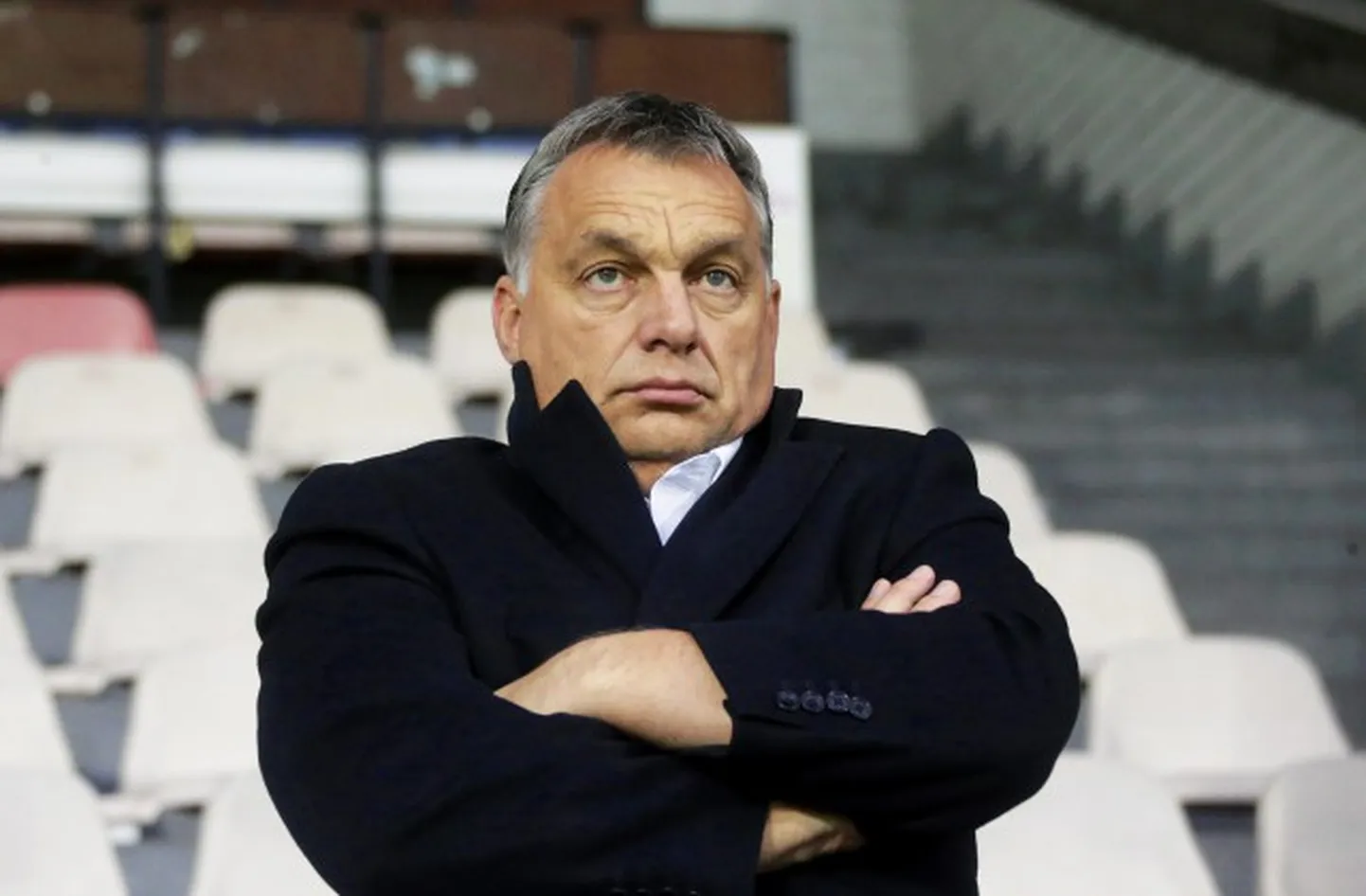 Raksta foto