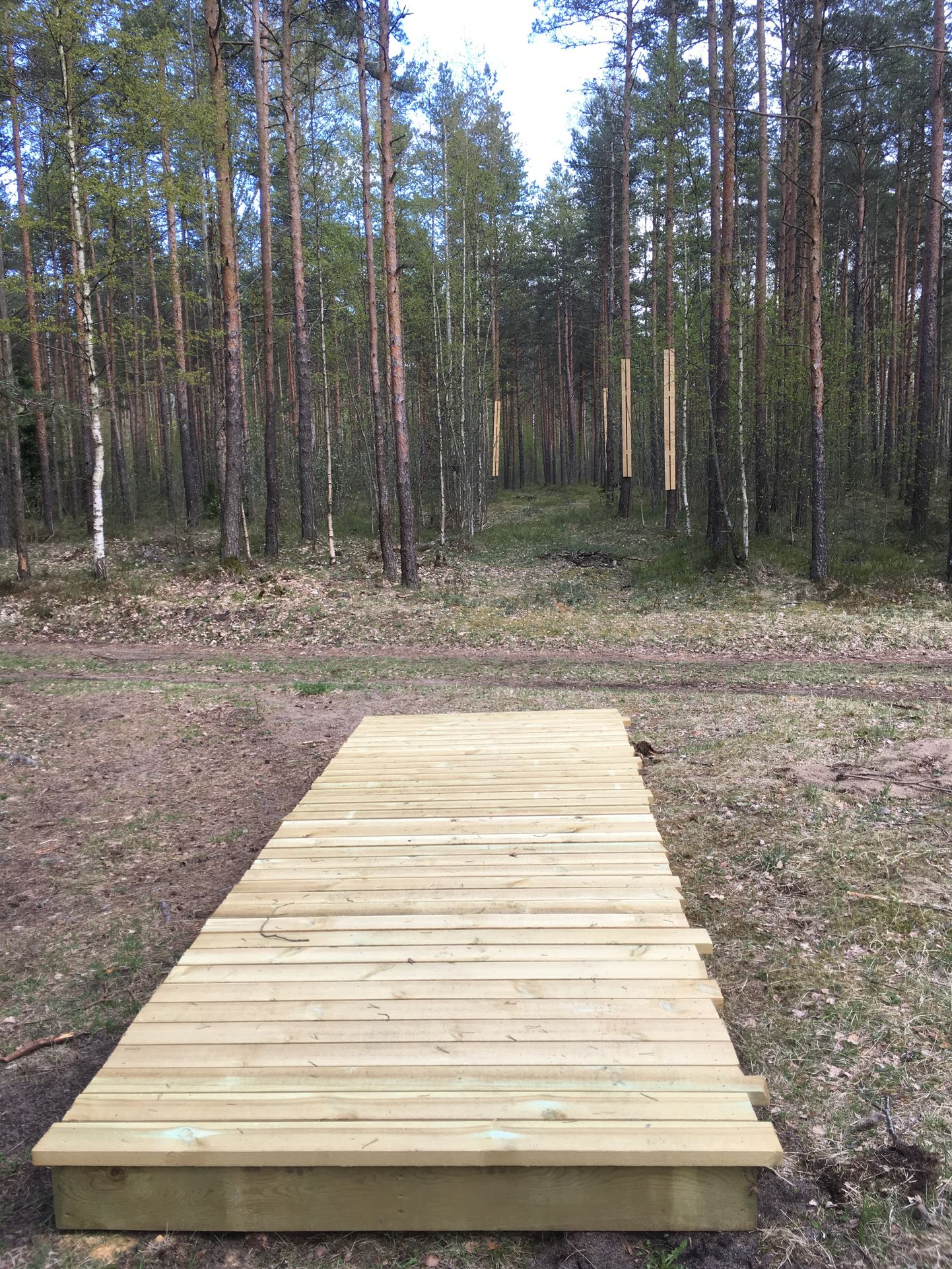 Kettagolfiraja ehitus Järve metsas.