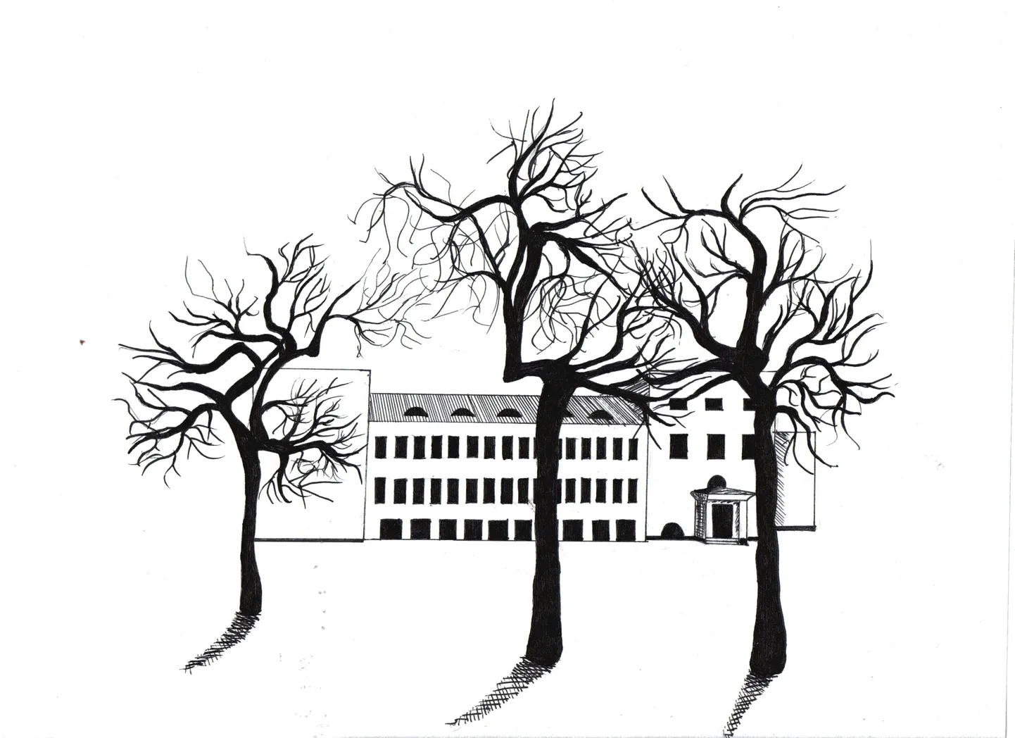 Hansagümnaasiumi logo autor on 30. lennu vilistlane Carol Kallas.