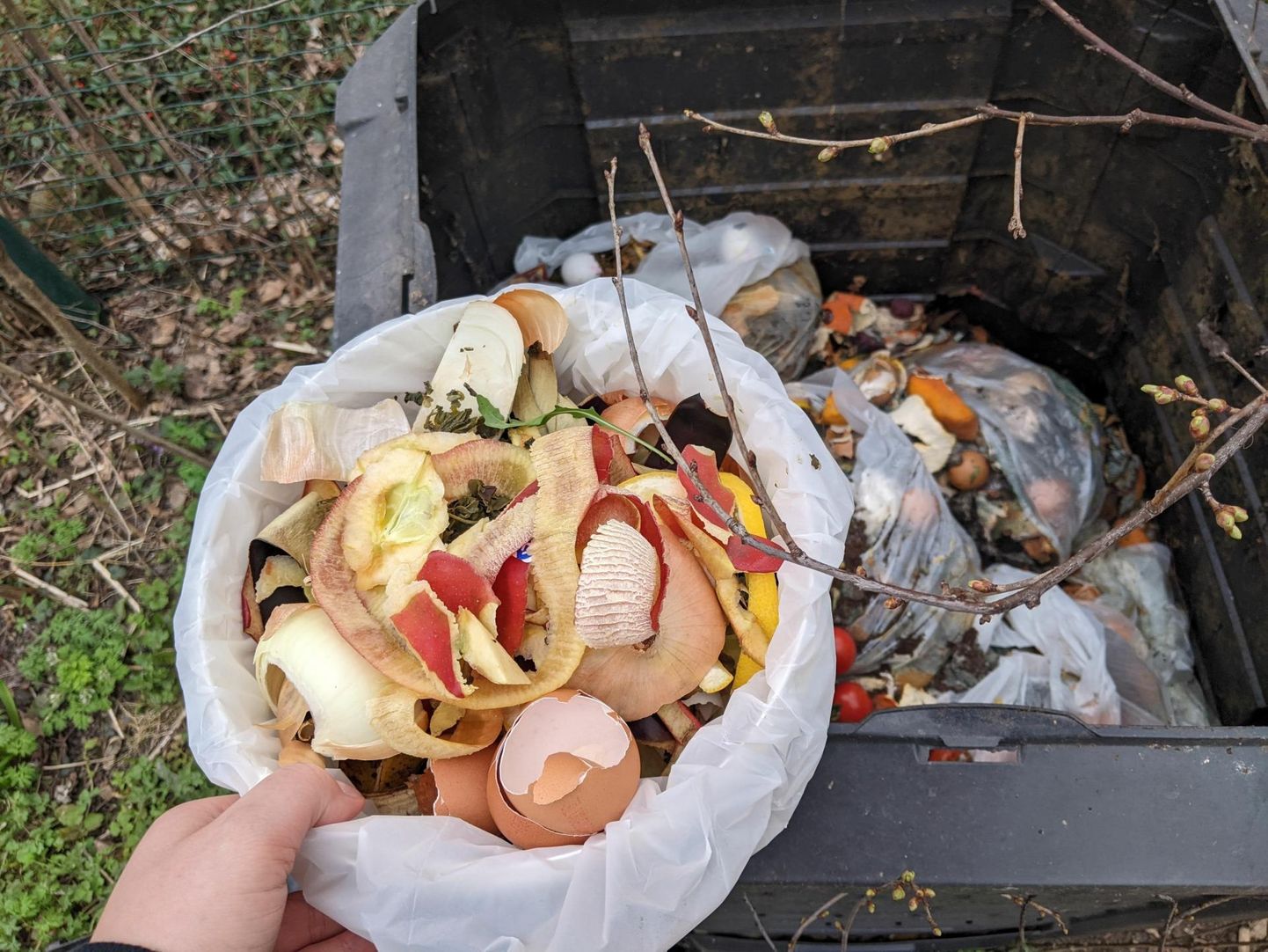 Teadlane soovitab: väldi kompostimisel igasugust kotti.