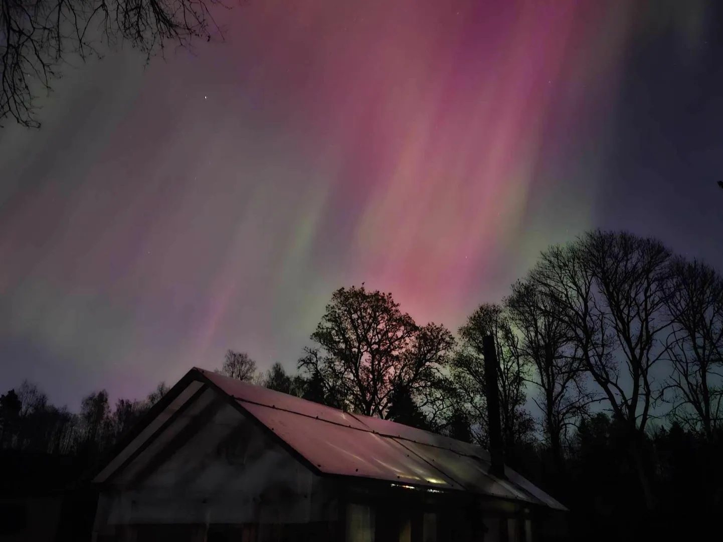 Magnettormid toovad tihtipeale kaasa ka virmaliste mängud.