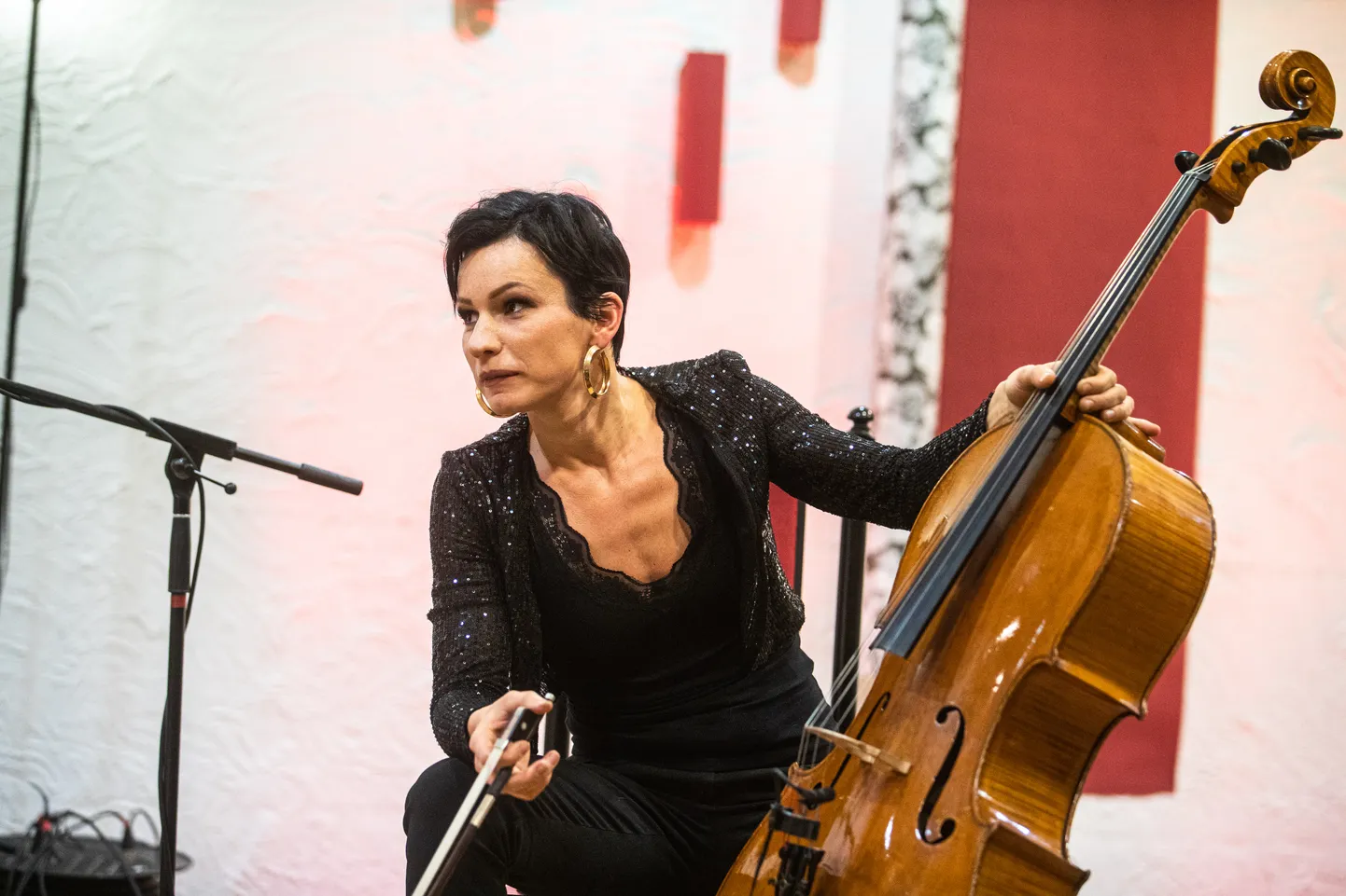Silvia Ilves esitles koos Paul Neitsoviga ühist plaati Aruküla rahvamajas. 6. märtsil.
