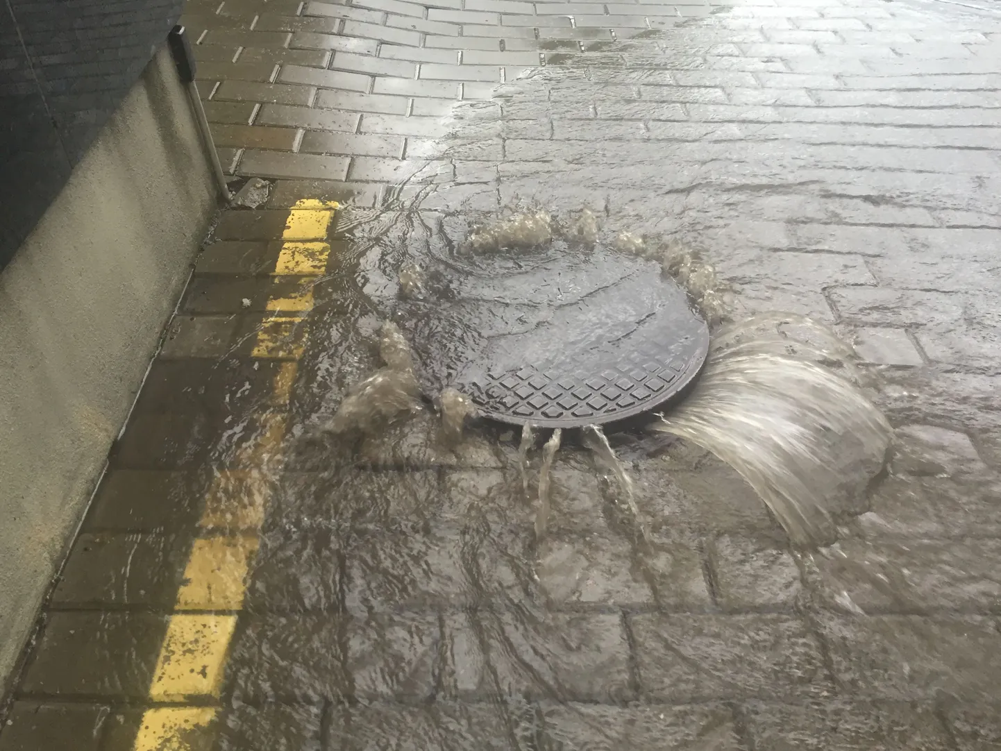 Uputus Maakri tänaval.