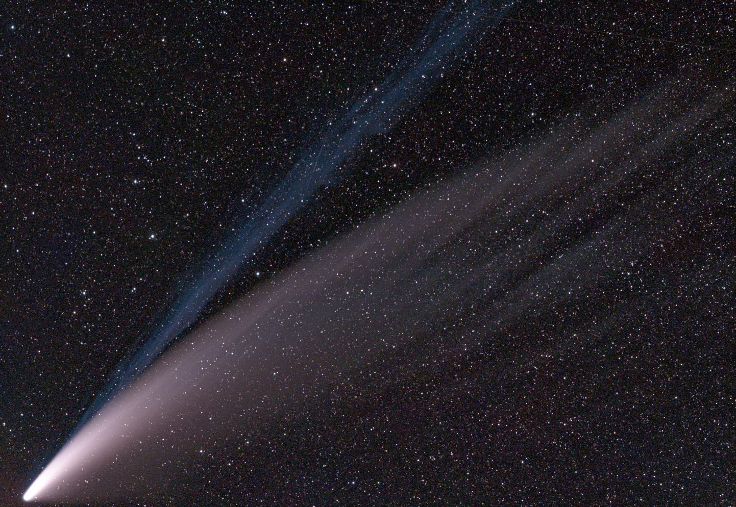Komeet C/2020 F3 (NEOWISE) pildistatud 14. juulil Saksamaalt. Fotol on selgesti eristatavad komeedi kaks saba – sinakas gaasi-ehk ioonsaba mis osutab Päikesest alati otse eemale ning valge tolmusaba, mis järgib mingil määral selle orbiiti. Nende sabade pikkust võib mõõta sadades miljonites kilomeetrites. 