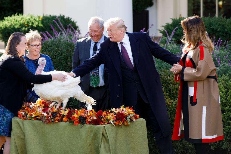 USA president Donald Trump andis tänupüha kalkunile armu