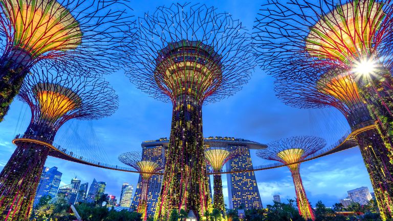 Superkoki Singapūras botāniskajā dārzā