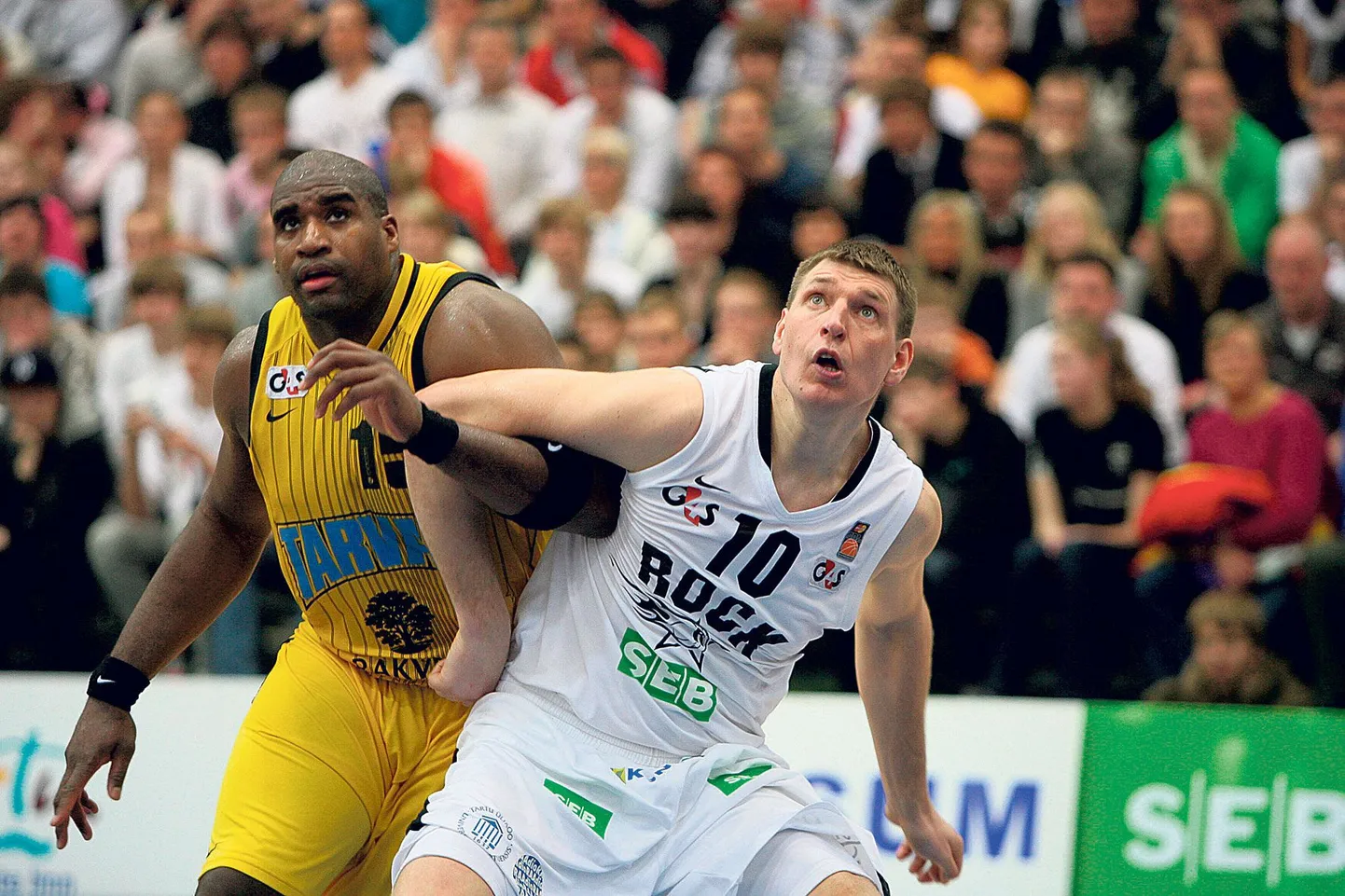 Vallo Allingu (nr 10).