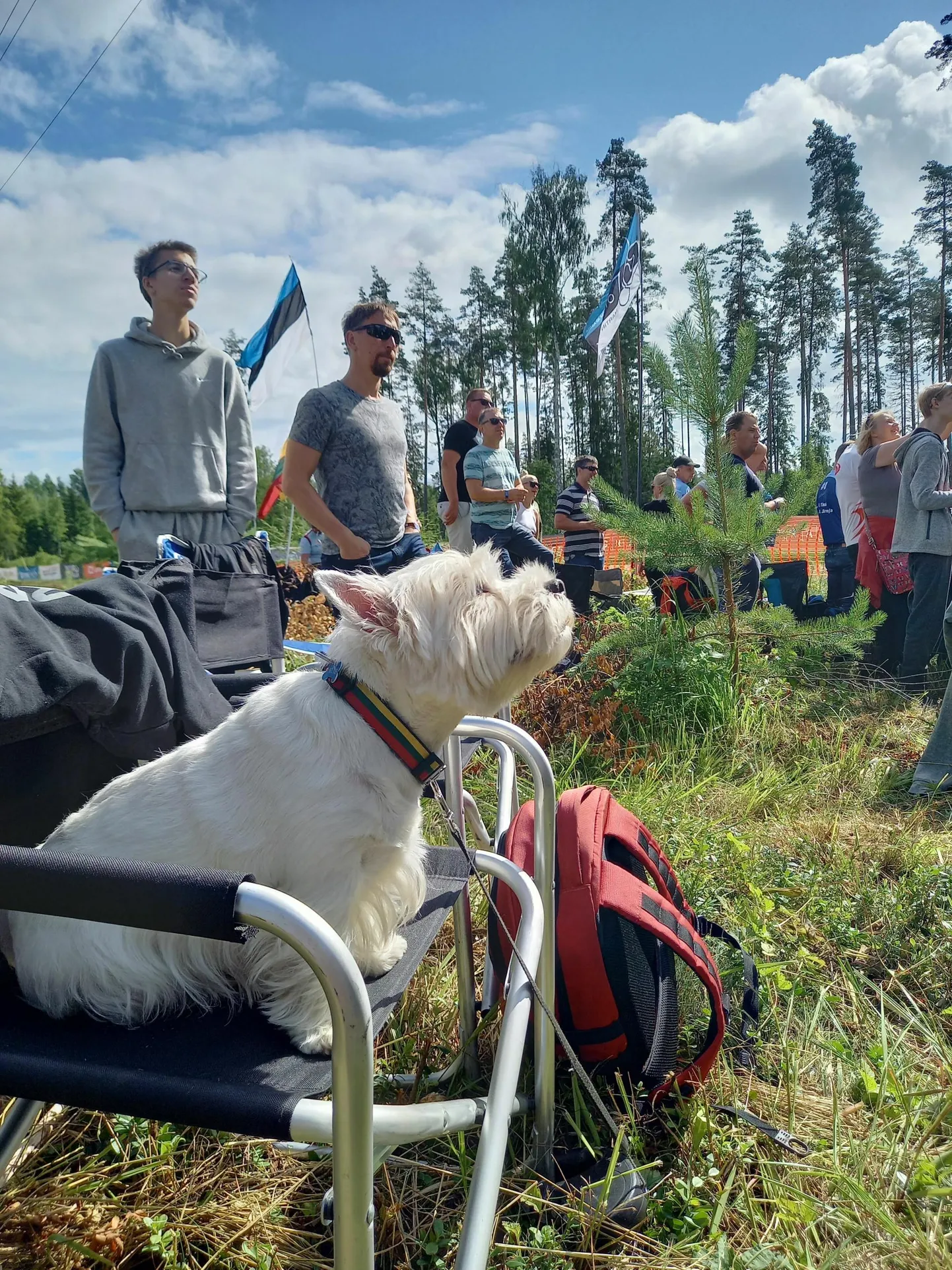 Rallikoer Newton tundis end Raanitsa kiiruskatsel nagu kala vees.