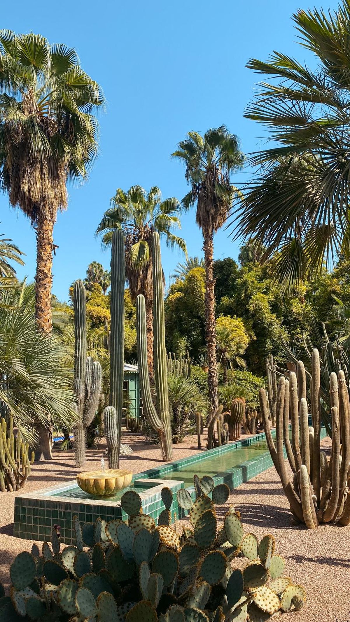 Marrakesh Garden.