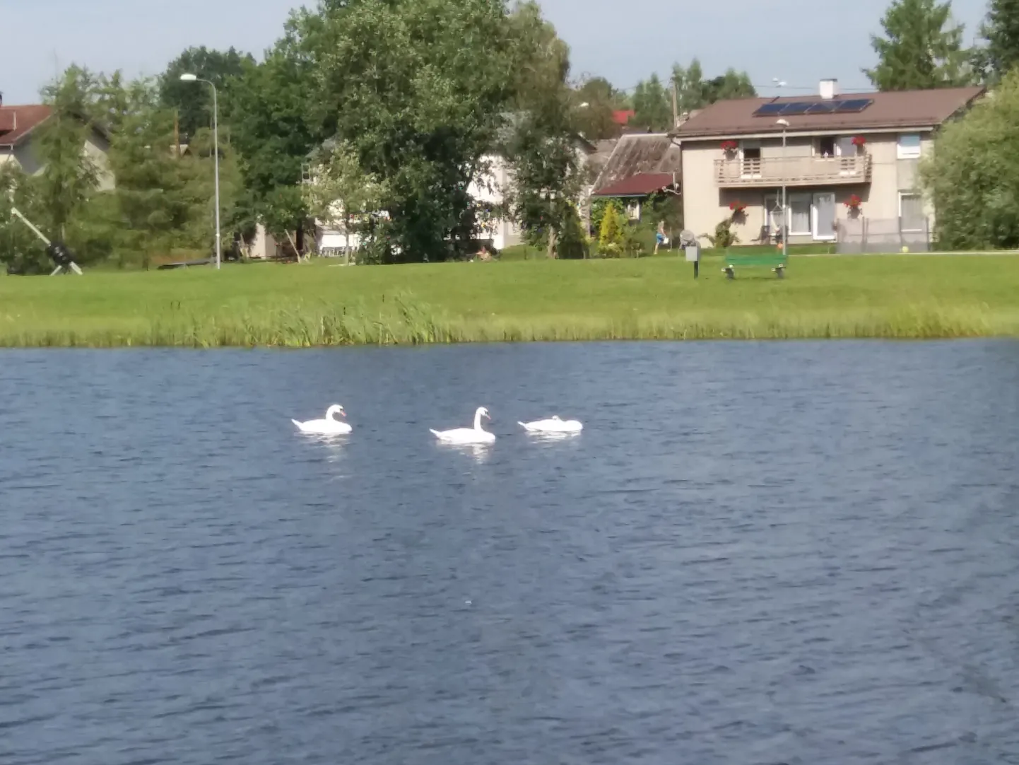 Luiged 14. juulil Valgas Pedeli jõel