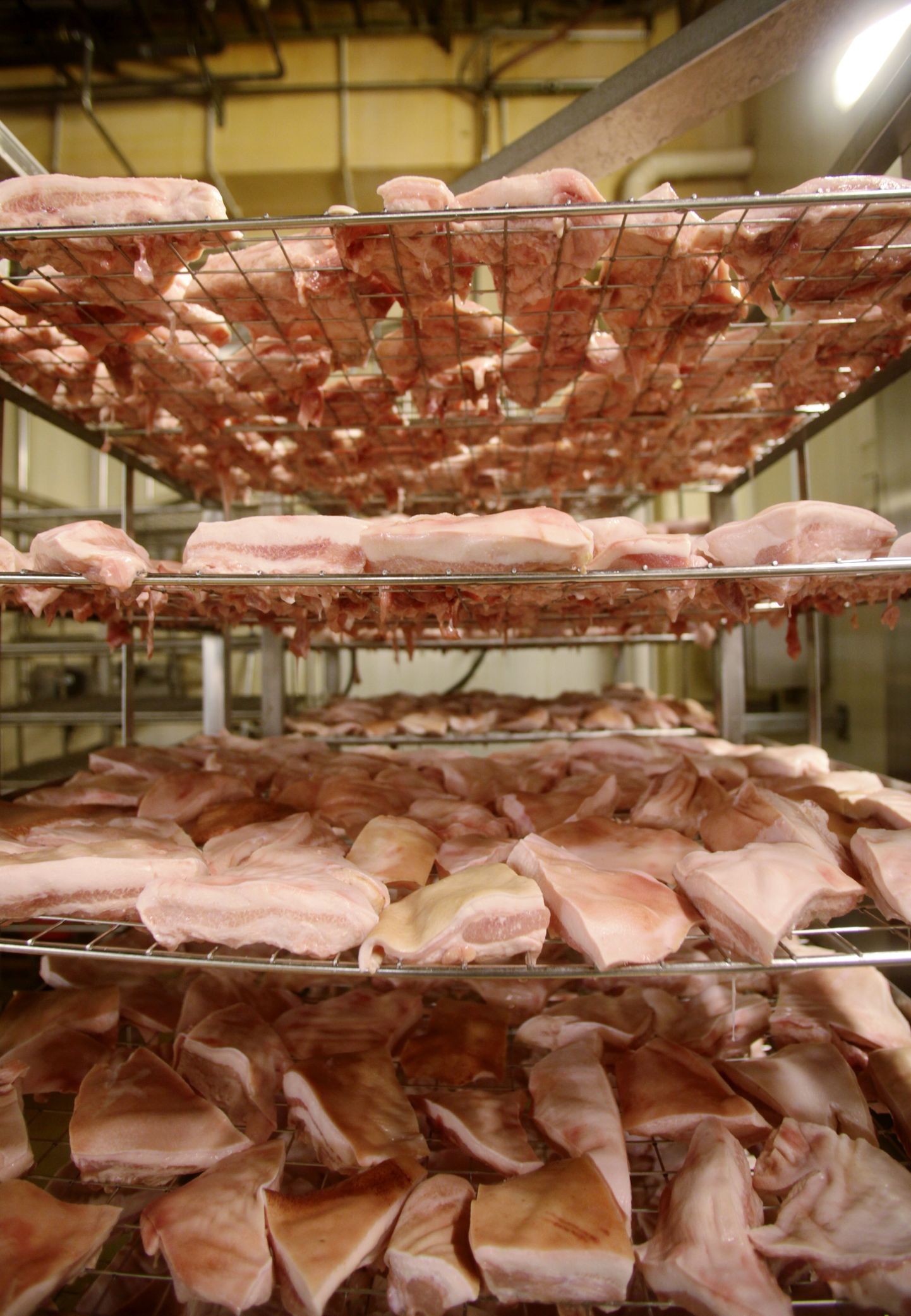Pildil lihatoodete valmistamine Nõo lihatööstuses.