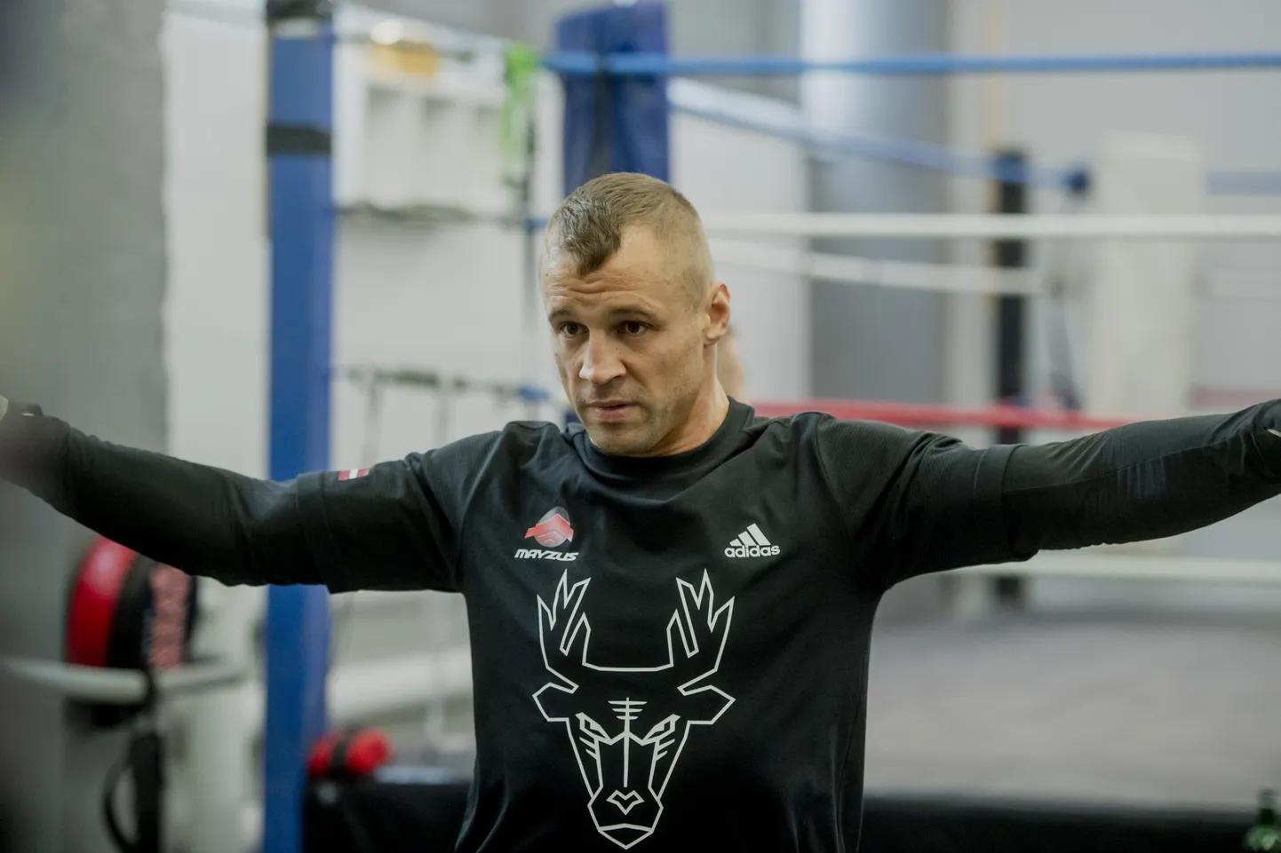 Mairis Briedis