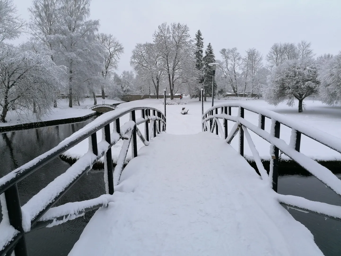 Lumine Rakvere linn.