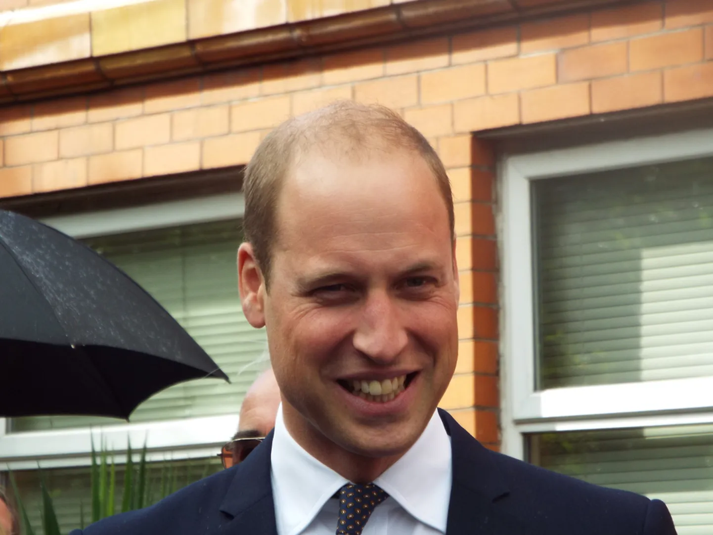 Walesi prints William