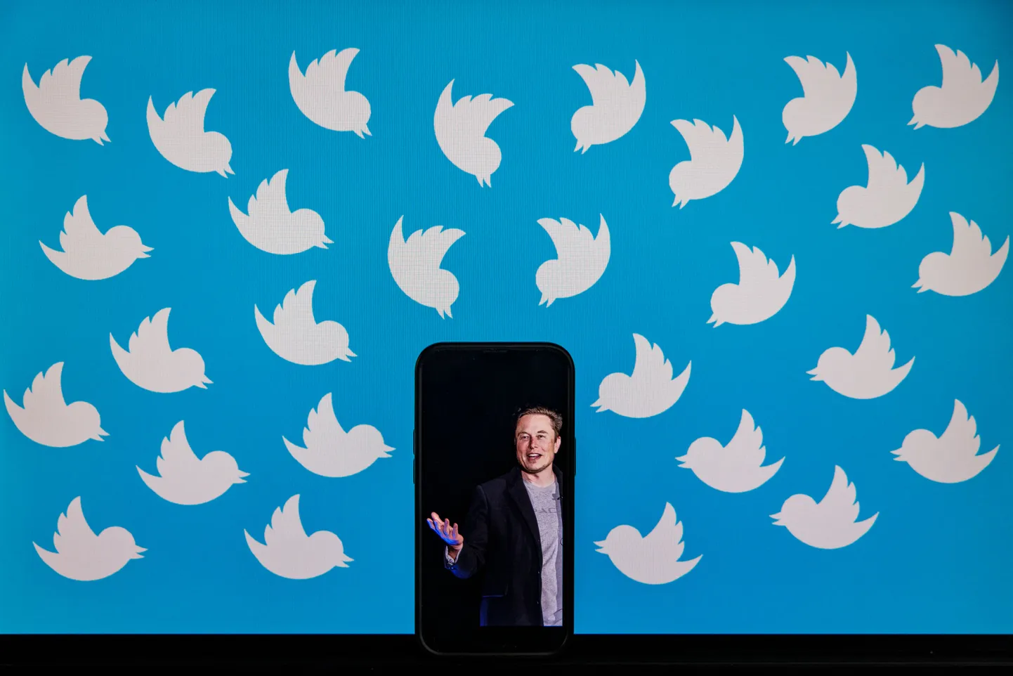 Elon Musk süüdistab Twitterit pettuses seoses ülevõtmisleppega.