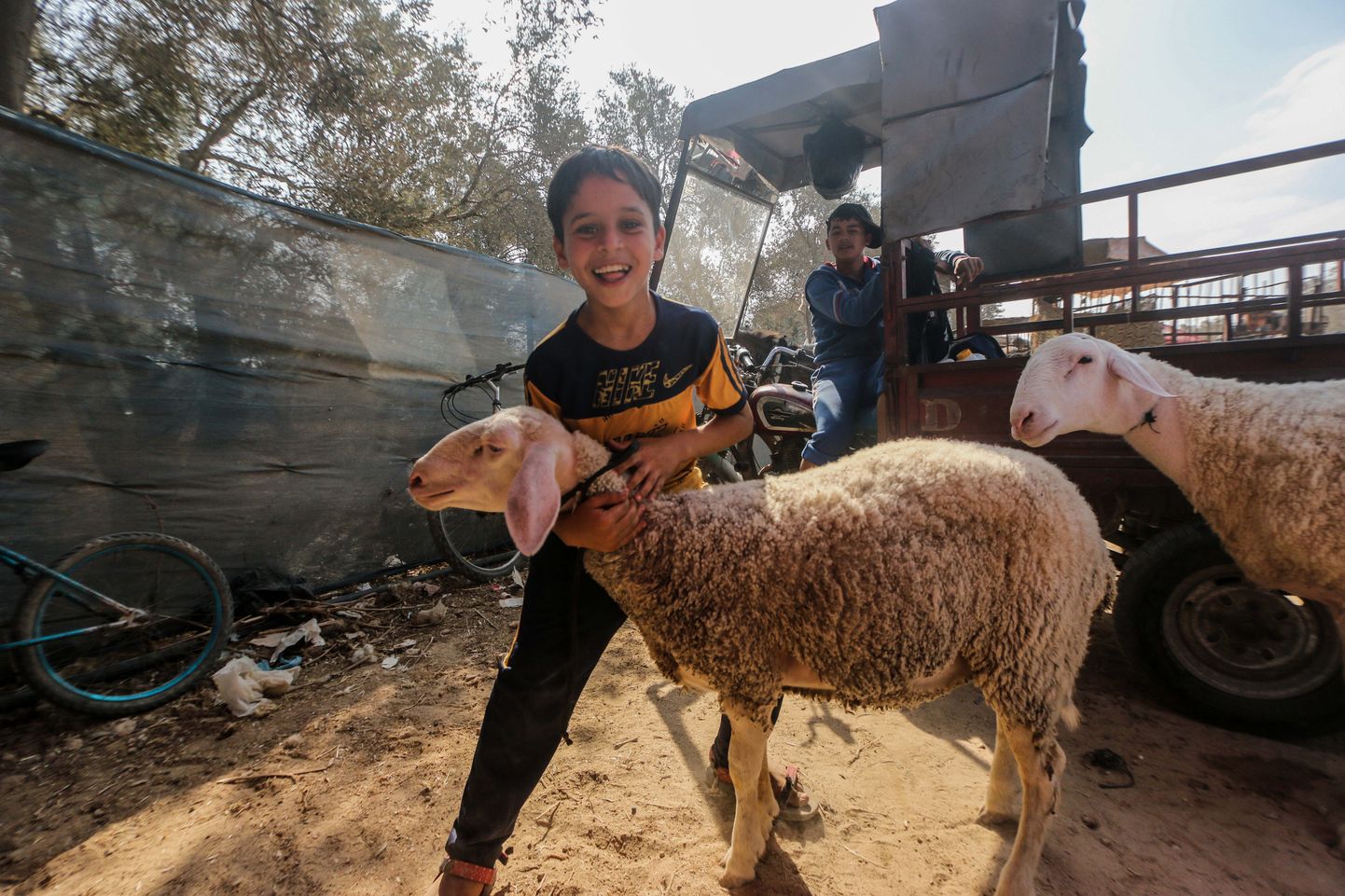Palestiina poiss koos oma lambaga, keda müüakse usupüha eel ohverdamiseks.